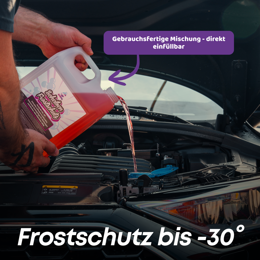 Scheiben Frostschutz 5000ml
