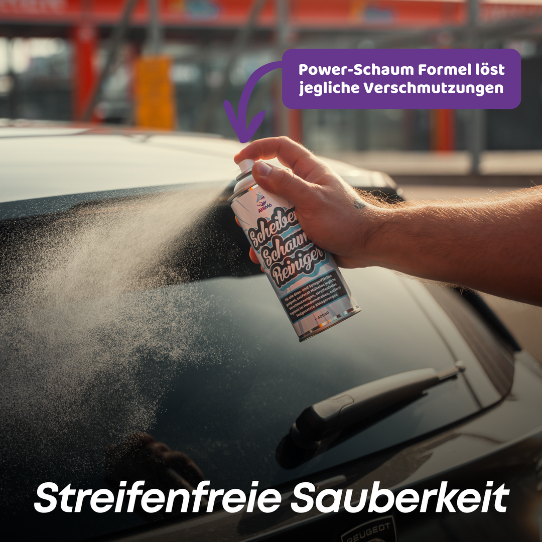 Scheiben Schaumreiniger Set