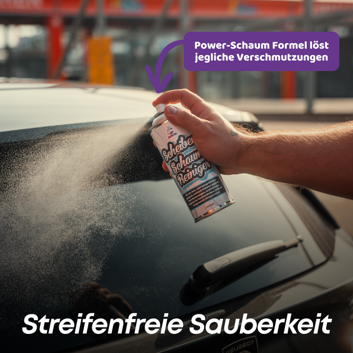 Scheiben Schaumreiniger Set