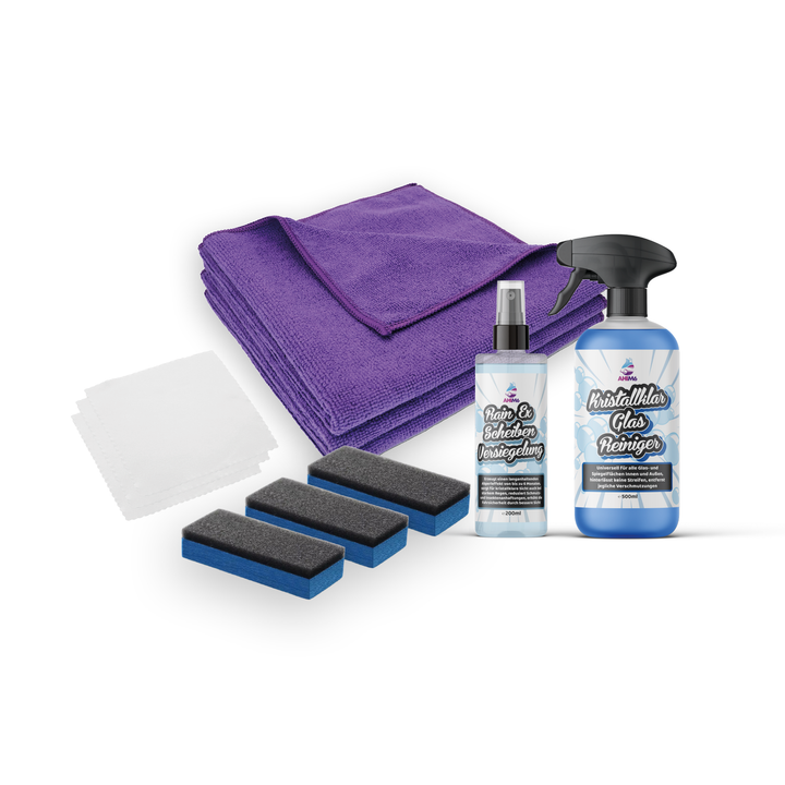 Rain Ex Scheibenversiegelung Set Plus