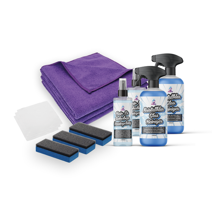 Rain Ex Scheibenversiegelung Set Pro