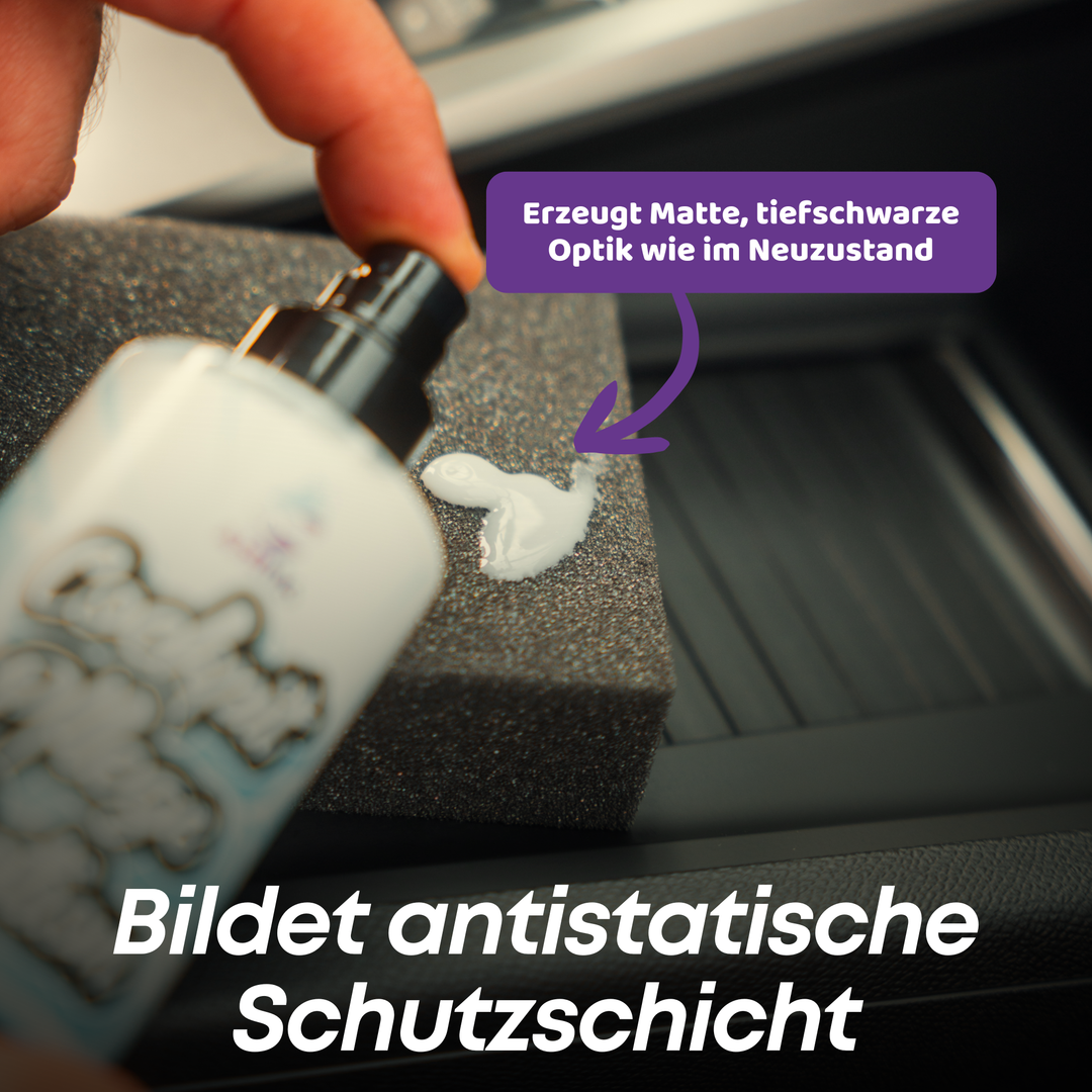 Innenraumreiniger Set