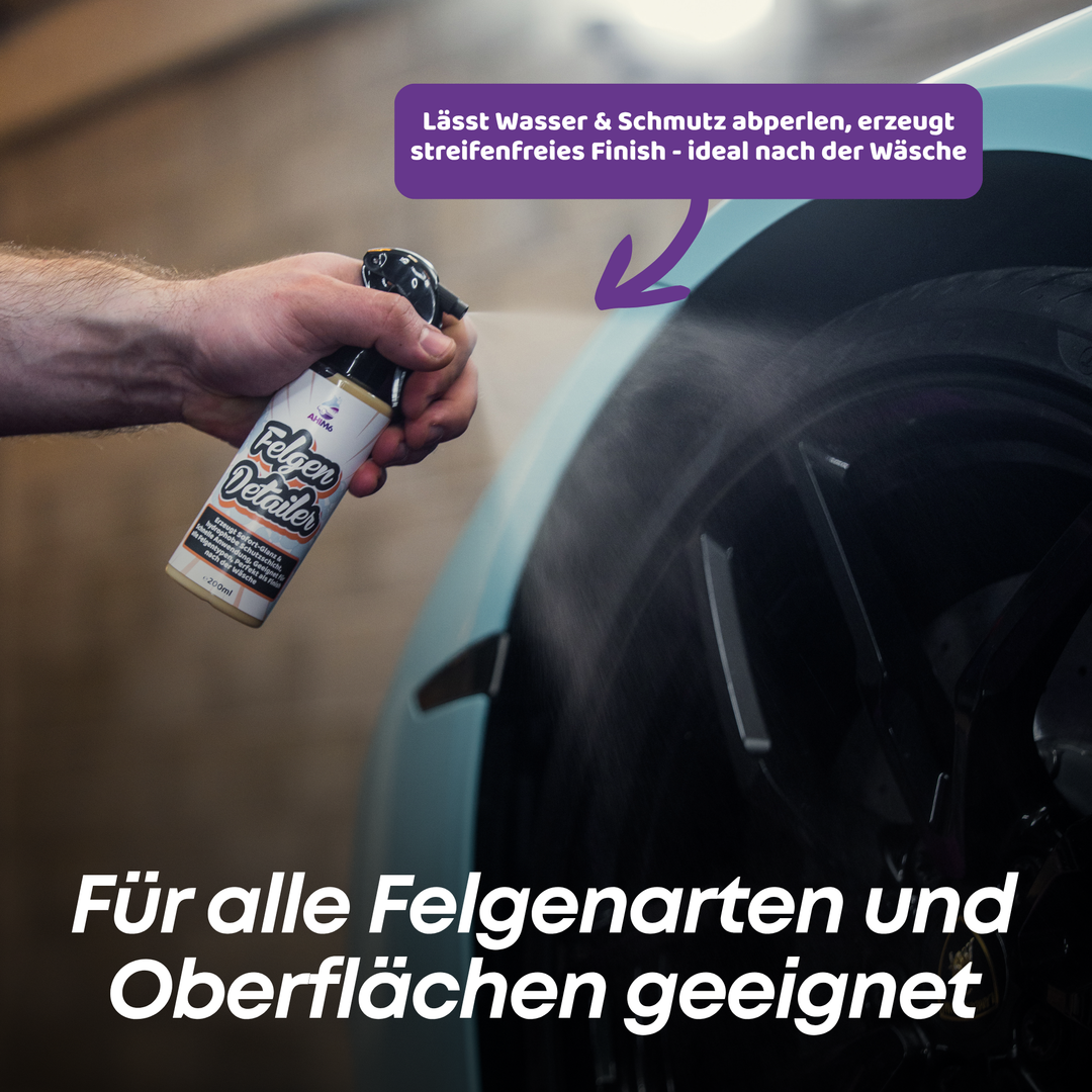 Felgen Versiegelung Set Plus