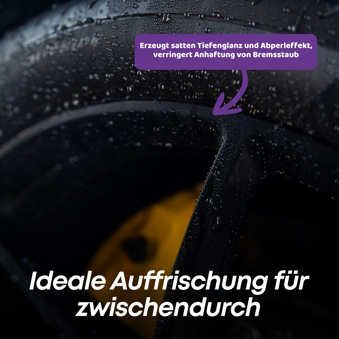 Felgen Versiegelung Set Plus