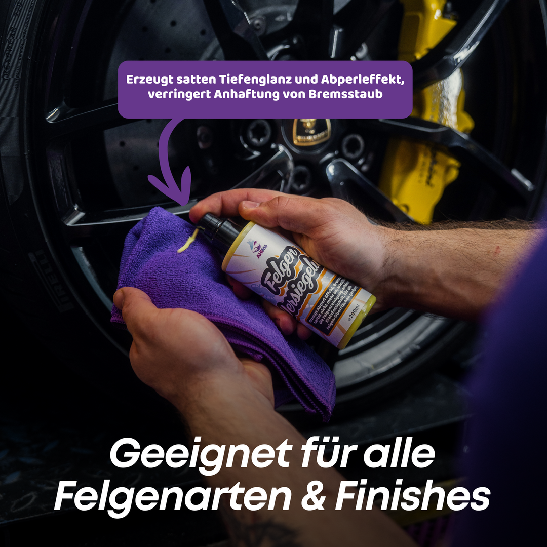 Felgen Versiegelung Set Plus