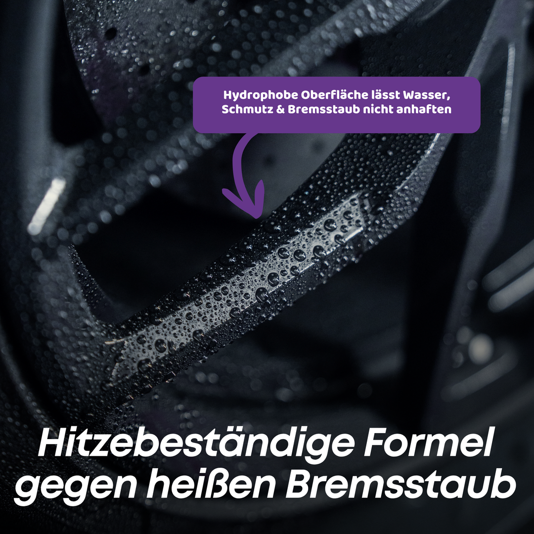 Felgen Versiegelung Set Plus