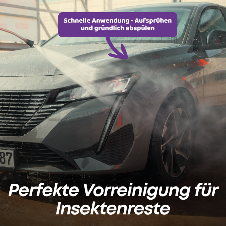 Insektenlöser PowerGel Set