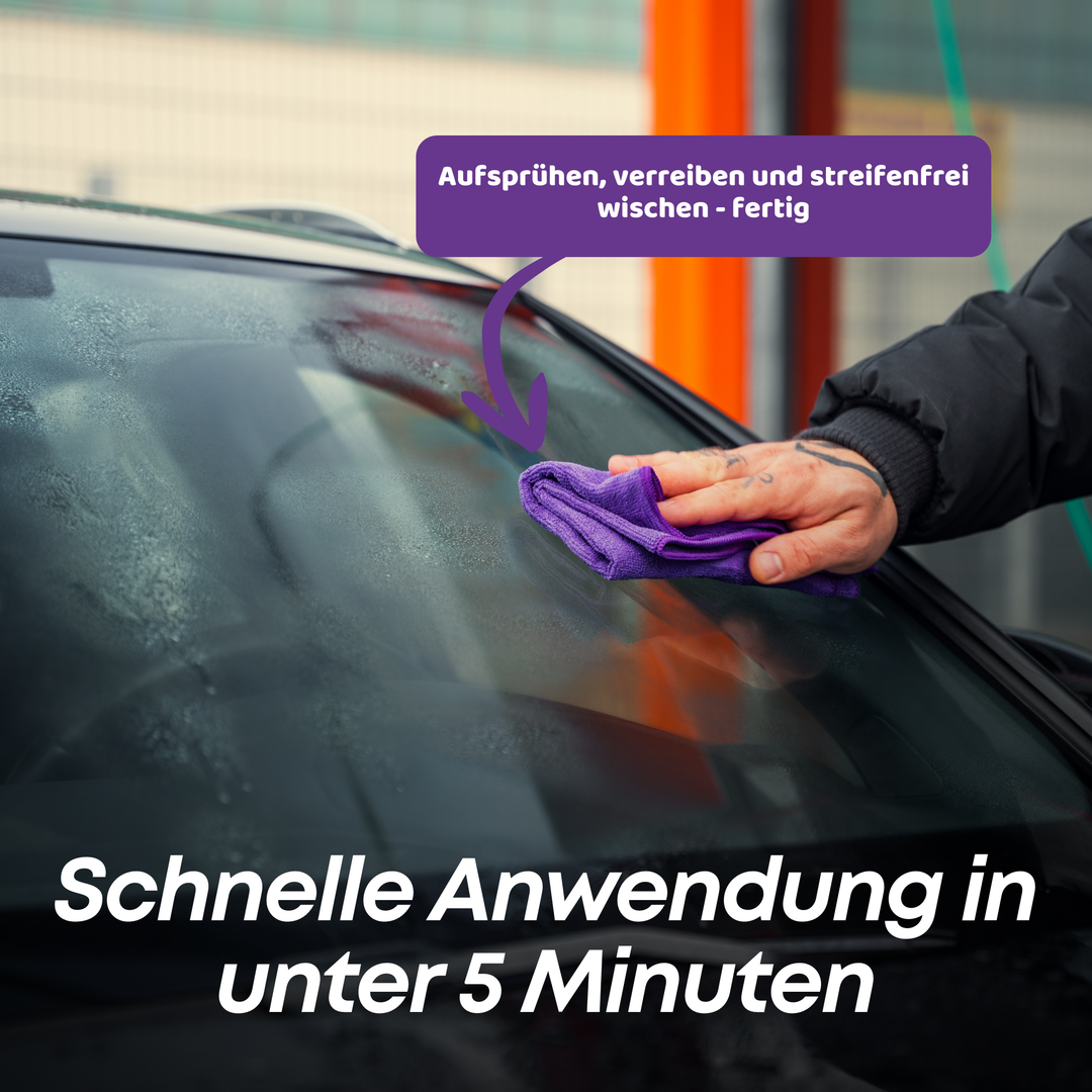 Rain Ex Scheibenversiegelung Set Pro