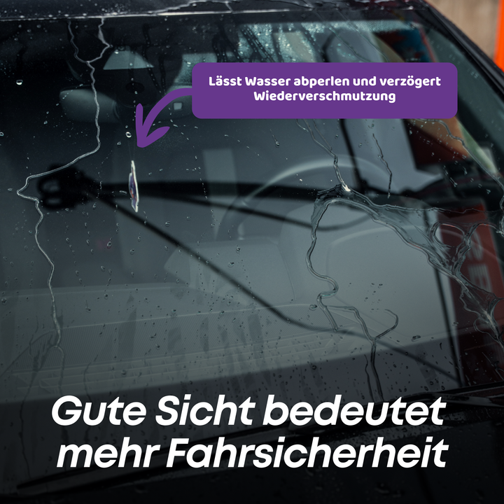 Rain Ex Scheibenversiegelung Set Pro