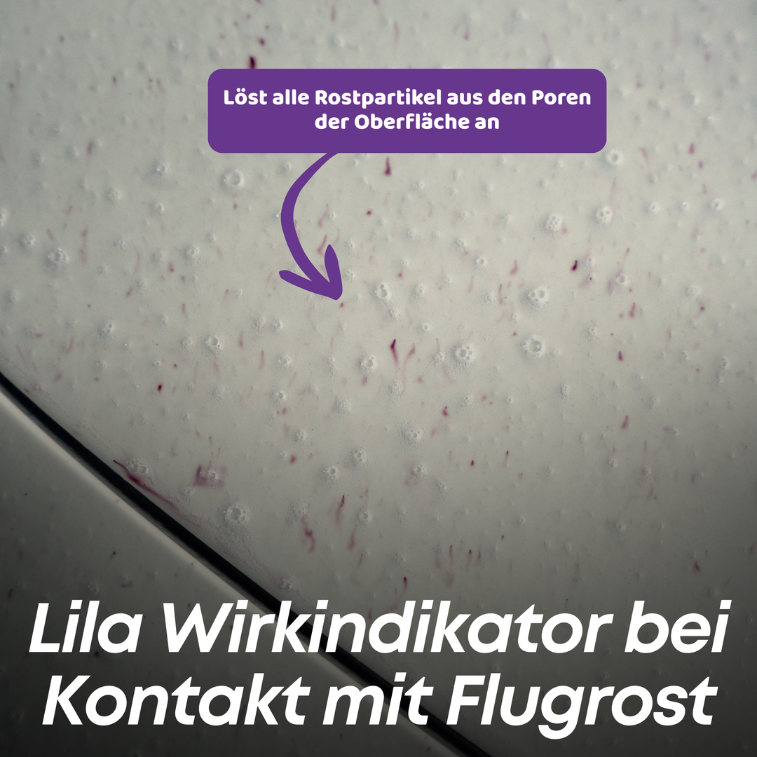 Rust Ex Flugrostentferner Set