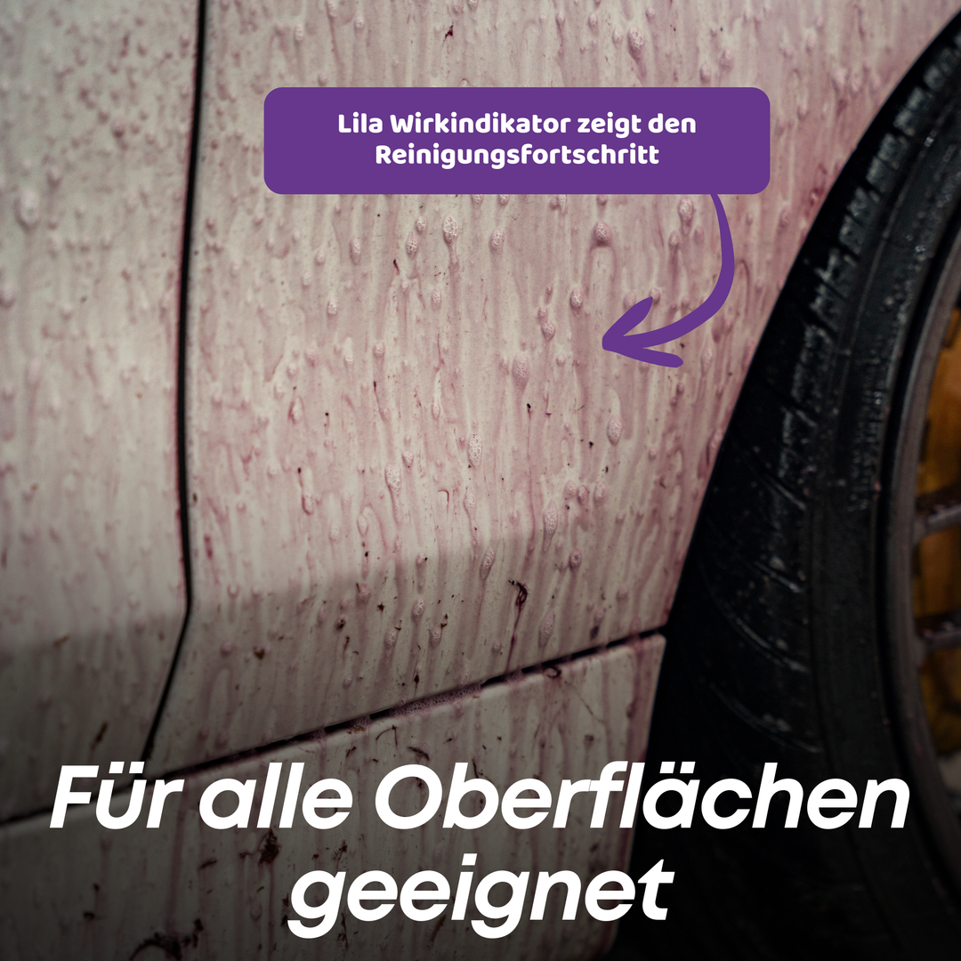 Rust Ex Flugrostentferner Set