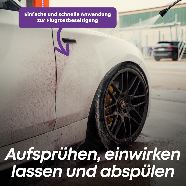 Rust Ex Flugrostentferner Set