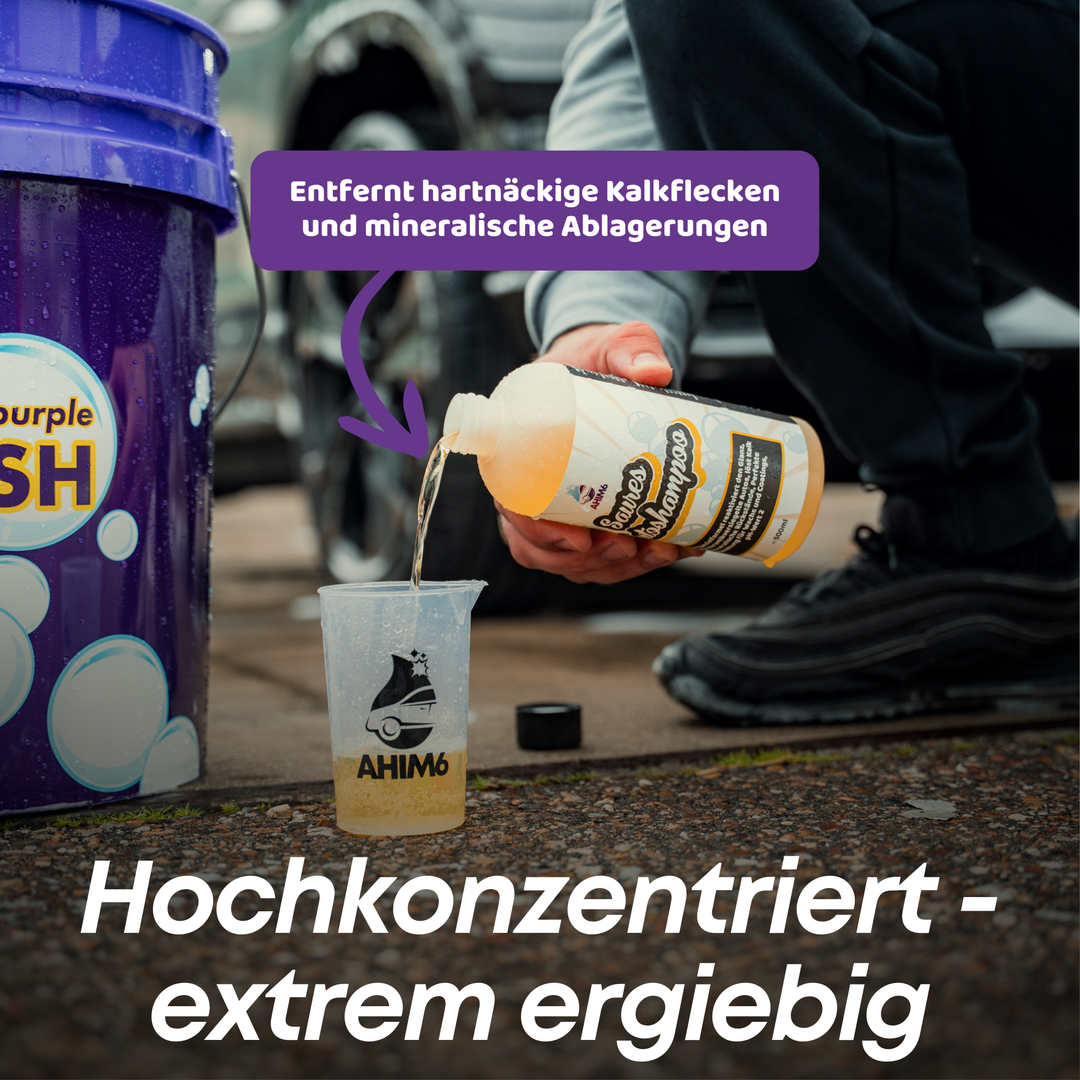 Saures Autoshampoo Set Pro