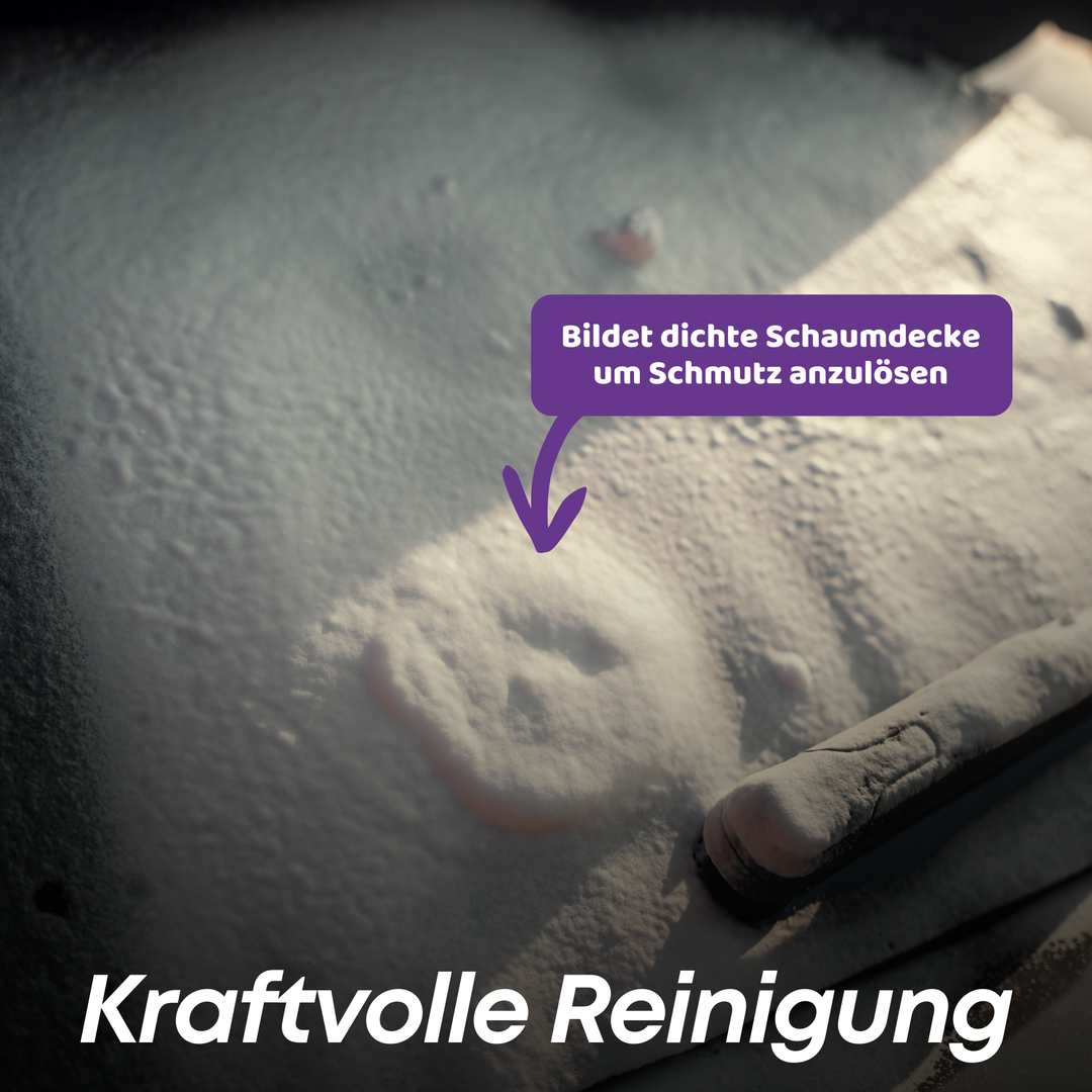 Scheiben Schaumreiniger Set