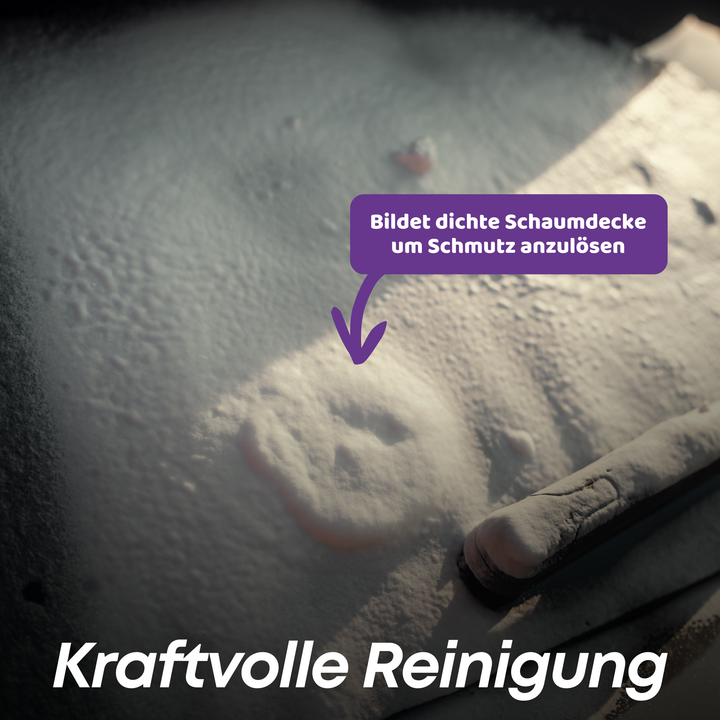 Scheiben Schaumreiniger Set