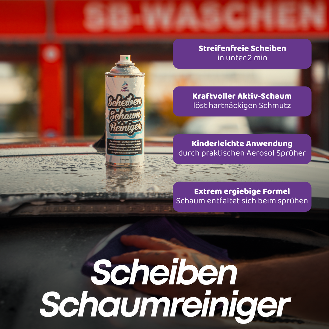 Scheiben Schaumreiniger Set