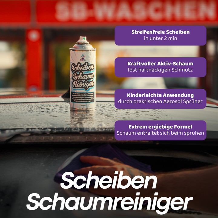 Scheiben Schaumreiniger Set