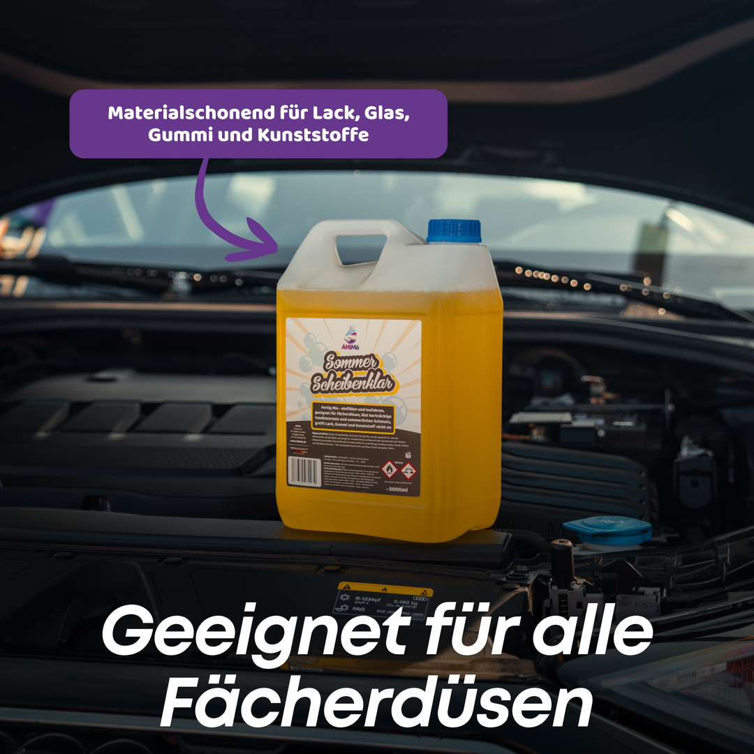 Sommer Scheibenklar Set Plus